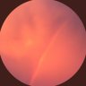 Frank Ramos's profile picture
