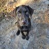 Dawg's profile picture