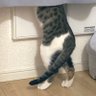 さむ's profile picture