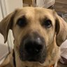 Profilbild von Bobby