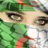 samsamdz 🇩🇿🇵🇸💗 的头像