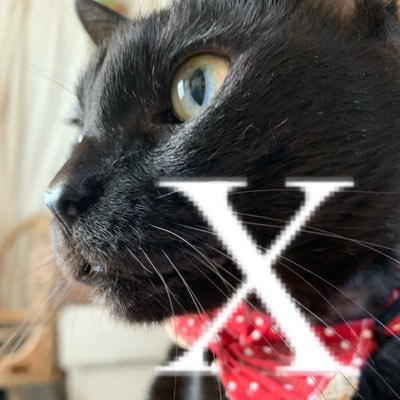 Roco23Roco's profile picture