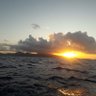 Polynesie Johnny's profile picture