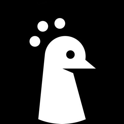 Piqo Studio's profile picture