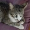 Loretta Para's profile picture