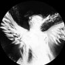 Last profil fotoğrafı