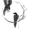 Hugin&Munin 的头像