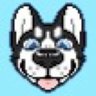 Wilikki's profile picture