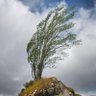 Фото профиля Stephen Young