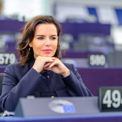 Laurence Sailliet's profile picture