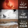 لله الامر من قبل ومن بعد 的头像