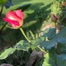 Фото профиля Lilian
