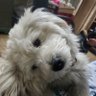 preppy's profile picture