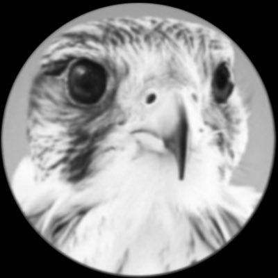 اتقهوى العز 🎖's profile picture