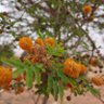 Фото профиля صالح