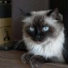 Juergen Maier's profile picture