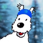 Injective Snowy 🥷's profile picture