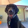 noodles 🇨🇦's profile picture