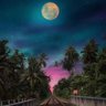 •قمر بين البشر🌝✨.'s profile picture