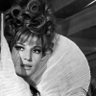 Profilbild von Modesty Blaise Ⓜ️ 