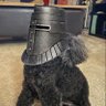 Reuben of Astora 的头像