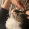Ceci's profile picture