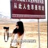 忱's profile picture