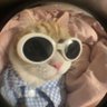 Profilbild von cota ジ