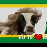 Passa raiva no gado 🐮's profile picture