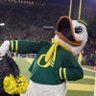 WaywardDuckDad's profile picture