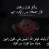 sara helmy's profile picture