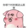Profilbild von 自由无价