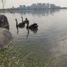 Фото профиля 飞翔的小鸟