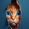 Gåñz $🌹 Rõsês🌹's profile picture
