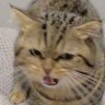 Profilbild von 步罡踏斗
