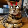 Profilbild von 🇯🇵ギプス神・百鬼丸🏍🐱