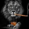 Profilbild von Päivän Suomiperkele 🇫🇮🇪🇺🇺🇦✙🇬🇪🐺⚔️🥃🦁
