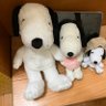 すぬーぴーの飼い主's profile picture