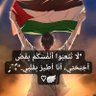 Ahlem Haine's profile picture