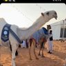 الـســامــي 🔱's profile picture
