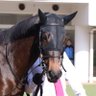 らいむの馬なり 的头像