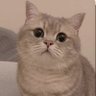 🎀 profil fotoğrafı