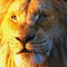 هاي's profile picture
