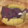 Profilbild von kuro neko