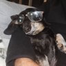 Profilbild von Texas7thgen
