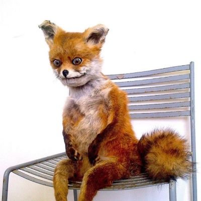 OverpartyC's profile picture