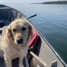 The Woods🇨🇦🏴's profile picture