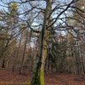 Фото профиля antyPIS