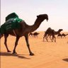 ماجد البرقاوي's profile picture