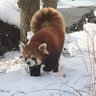 ほっじー's profile picture